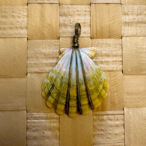 Jewelry - Hawaiian Sunrise Shell Pendant